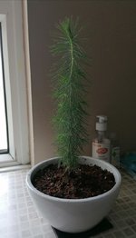 IMG_20220824_163640.jpg