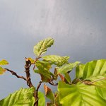 20220830_173105.jpg