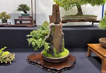 IMG_2626.jpeg