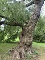 7C83BD87-2C5E-4883-BA41-1DD6BDF7A3E1.jpeg