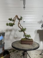 BAB36102-76E9-40AE-8109-1FB01F706F10.jpeg