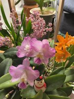 C048652F-DEAA-4D00-8E15-ED83F10C3835.jpeg