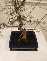 SmartSelect_20230126-234933_Gallery.jpg