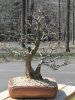 IMG_1456.jpg