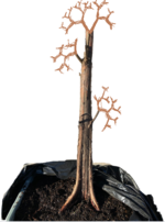 bc2.png