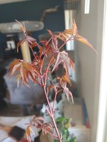 IMG_20230430_153554_01.jpg