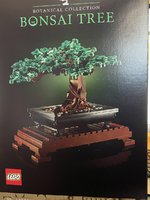 IMG_2047.jpeg
