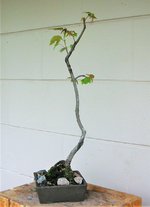 DSCN0189 (2).JPG