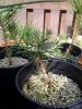 20140724_171723.jpg