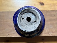 IMG_6156.jpeg
