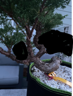 IMG_2277.png
