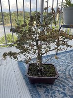 IMG_4611.jpeg