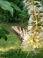 20230719_173244.jpg