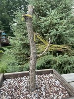 IMG_1830.jpeg
