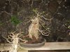 DSC07879.jpg