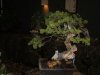 DSC07873.jpg