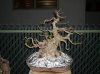 DSC07865.jpg