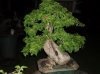 DSC07866.jpg