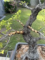 IMG_3896.jpeg