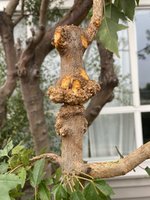 IMG_3861.jpeg