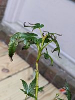 PXL_20230830_215034230.jpg