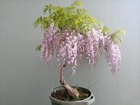 IMG_20230905_120718.jpg