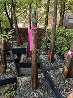 IMG_1807.jpeg