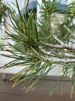 IMG_5459.jpeg