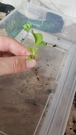 20230911_230712.jpg