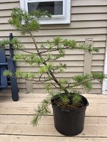 IMG_3902.jpeg