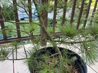 IMG_3898.jpeg