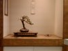 IMG00209-20090322-1954.jpg
