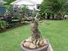 DSC00699.jpg