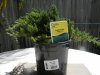 lowes receipt 2.jpg