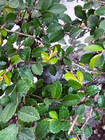IMG_9948.jpg