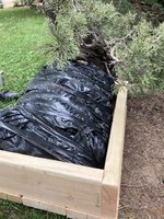 IMG_1656.jpeg