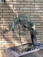 IMG_1315.jpeg