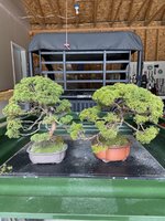 IMG_3601.jpg