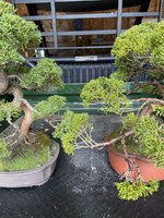 IMG_3602.jpg
