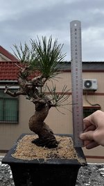 IMG_7685.jpeg