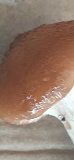 20231107_135059.jpg
