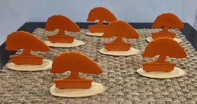 PRIX BONSAI EXPO 2023 SML.jpg