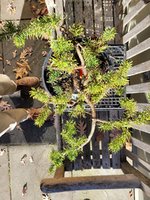 20231125_123438.jpg