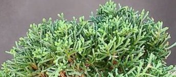 IMG_20231126_171611.jpg