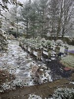 20231126_121714.jpg