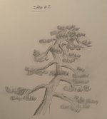 IMG_1688.jpeg