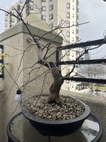 IMG_2607.jpeg