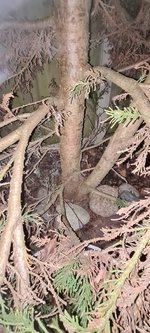 20240120_174200.jpg