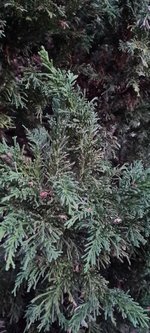 20240120_171350.jpg