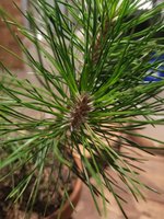 20240125_023703.jpg